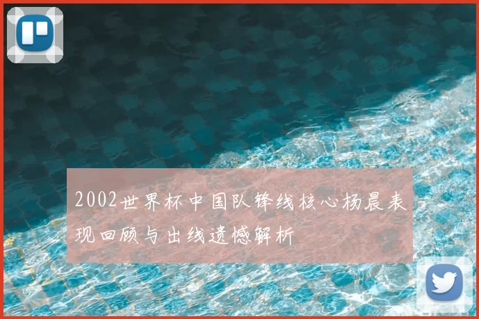 2002世界杯中国队锋线核心杨晨表现回顾与出线遗憾解析